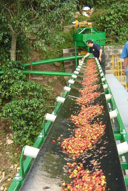 Maquinaria para cafe, tostadoras cafe, torrefaccion, beneficio por Bendig Costa Rica